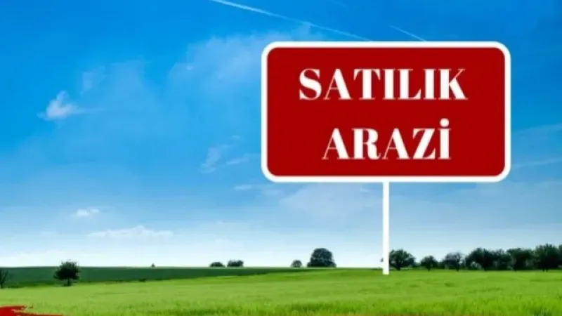 Didim'de çok değerli 4 hazine arazisi satışa çıkarıldı