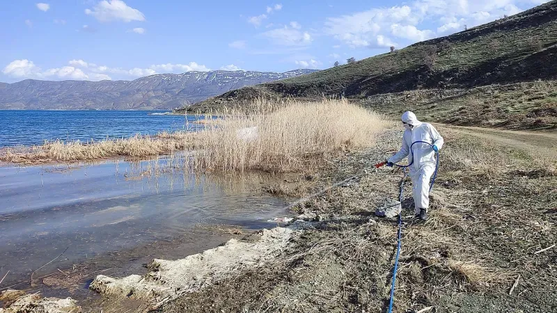UZMANLAR UYARIYOR: VEKTÖRLER SADECE RAHATSIZLIK DEĞİL, HASTALIK TAŞIYOR