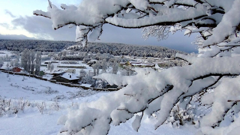 Didim'deki Karslılar, hemen Halk TV'yi açın