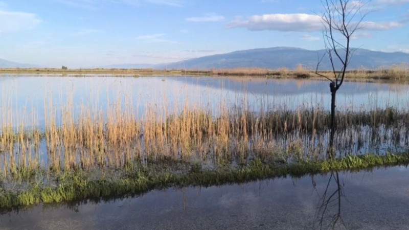 VİDEO HABER: AYDIN AFET BÖLGESİ İLAN EDİLMELİ
