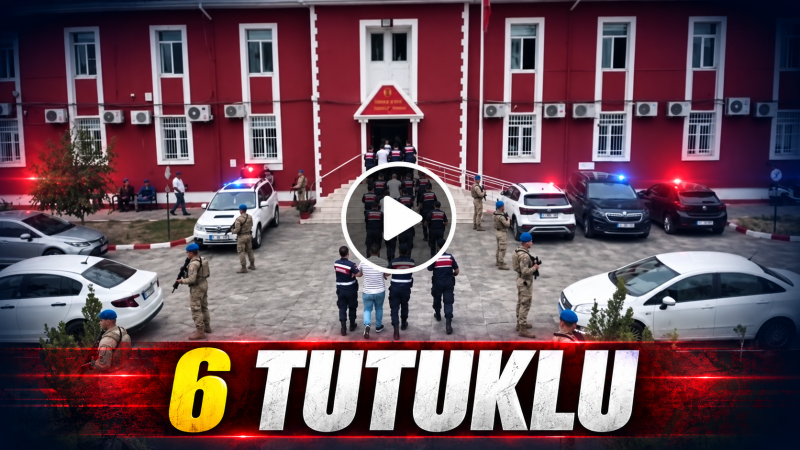 Jandarmadan zeytinyağı operasyonu: 6 tutuklu