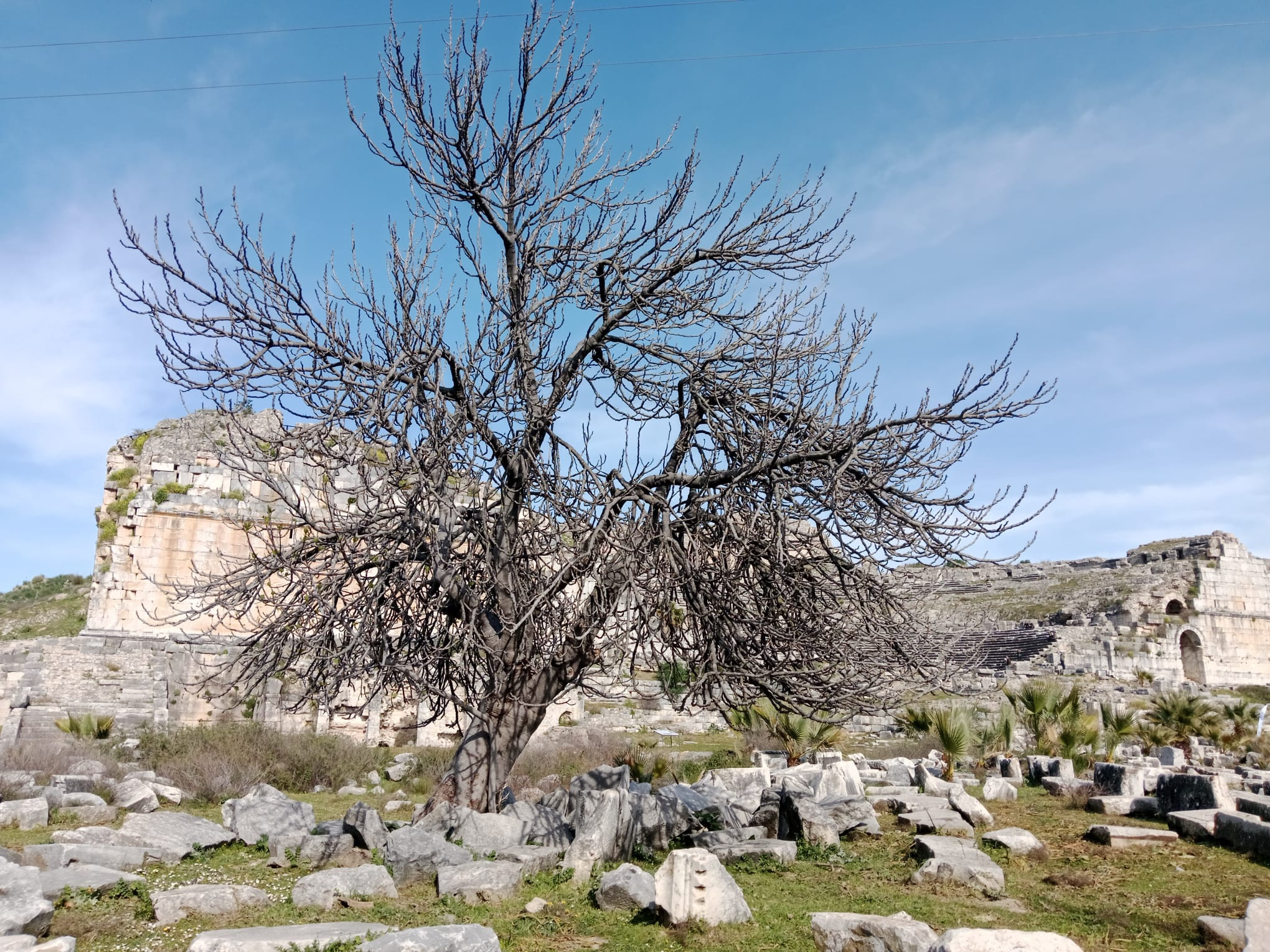 Thales’in Kenti Miletos’ta Matematik ve Umut Buluşması