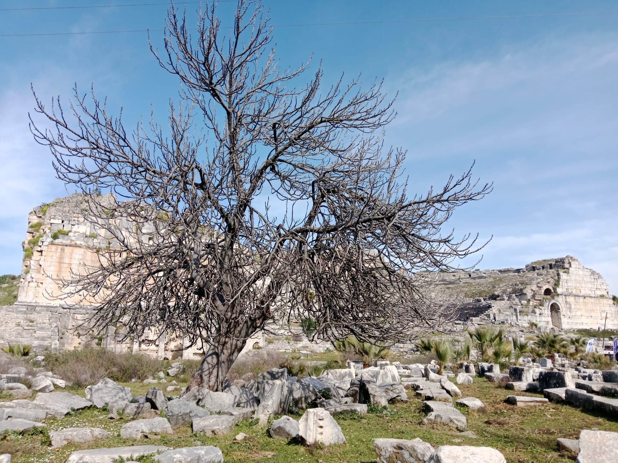 Thales’in Kenti Miletos’ta Matematik ve Umut Buluşması