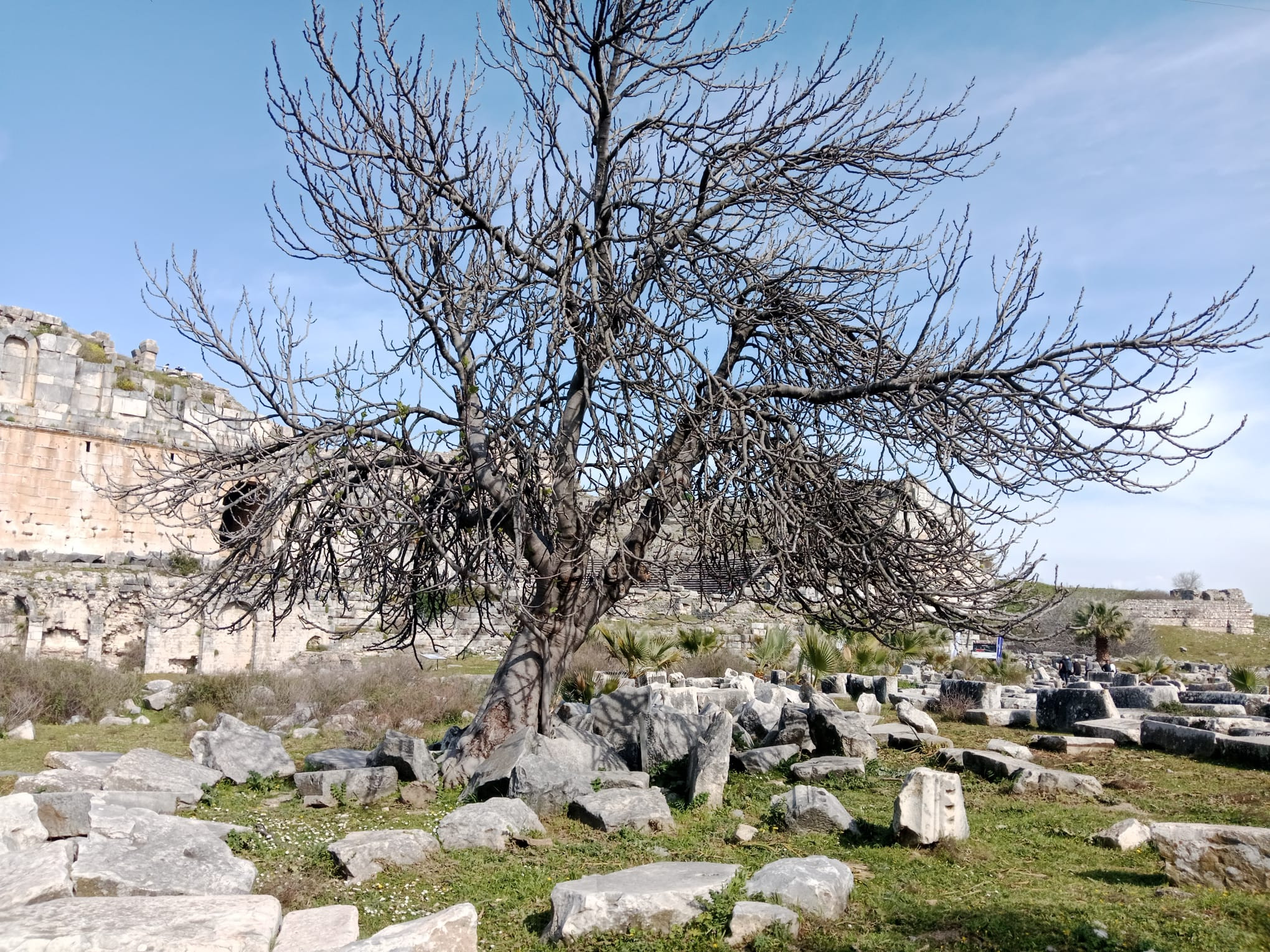 Thales’in Kenti Miletos’ta Matematik ve Umut Buluşması